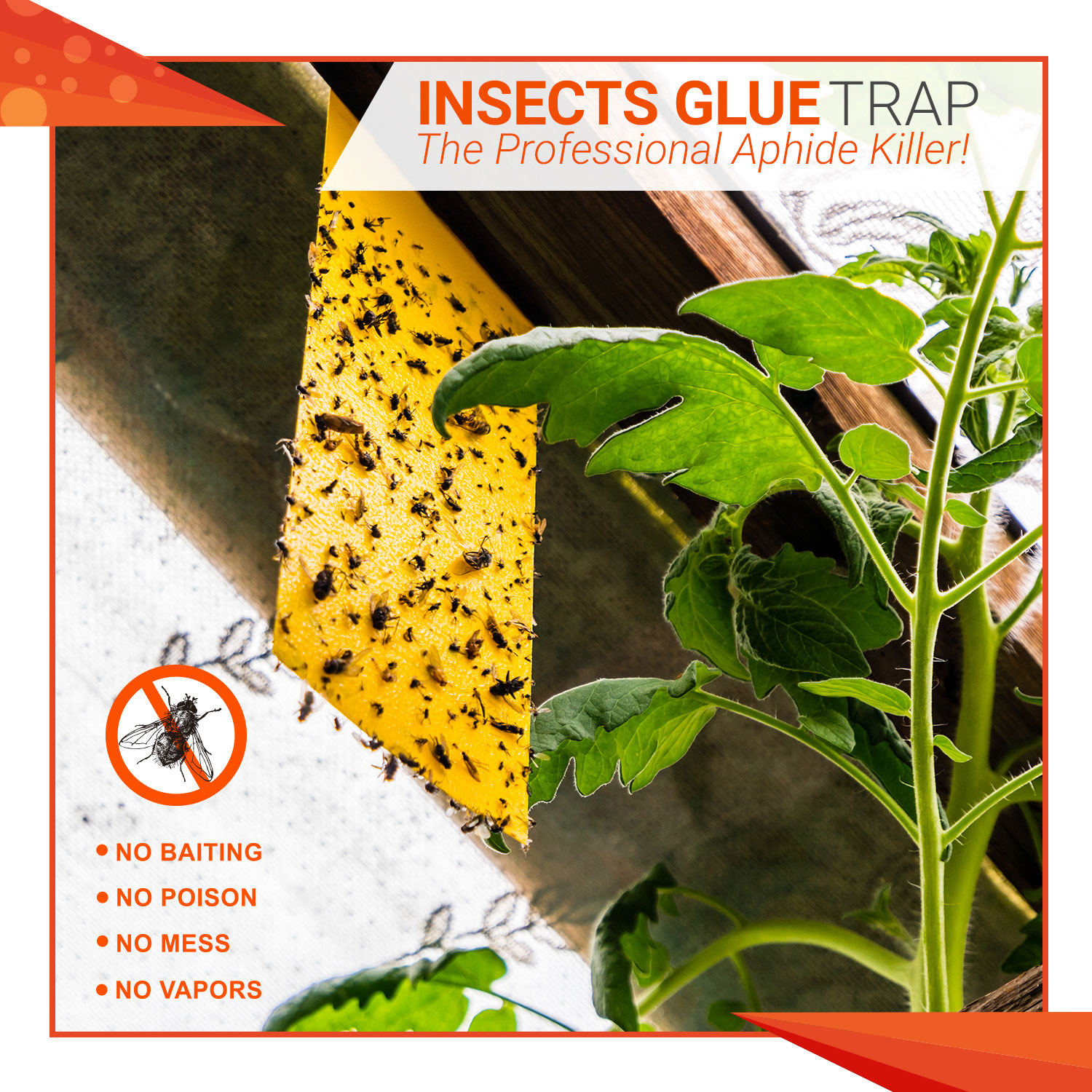 Insecticide adhesive Glue Traps%20(1)