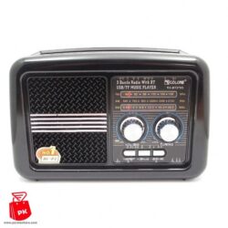 radio Bluetooth Speaker GOLON RX BT978s 5 ParsianKalacom 550x550 1